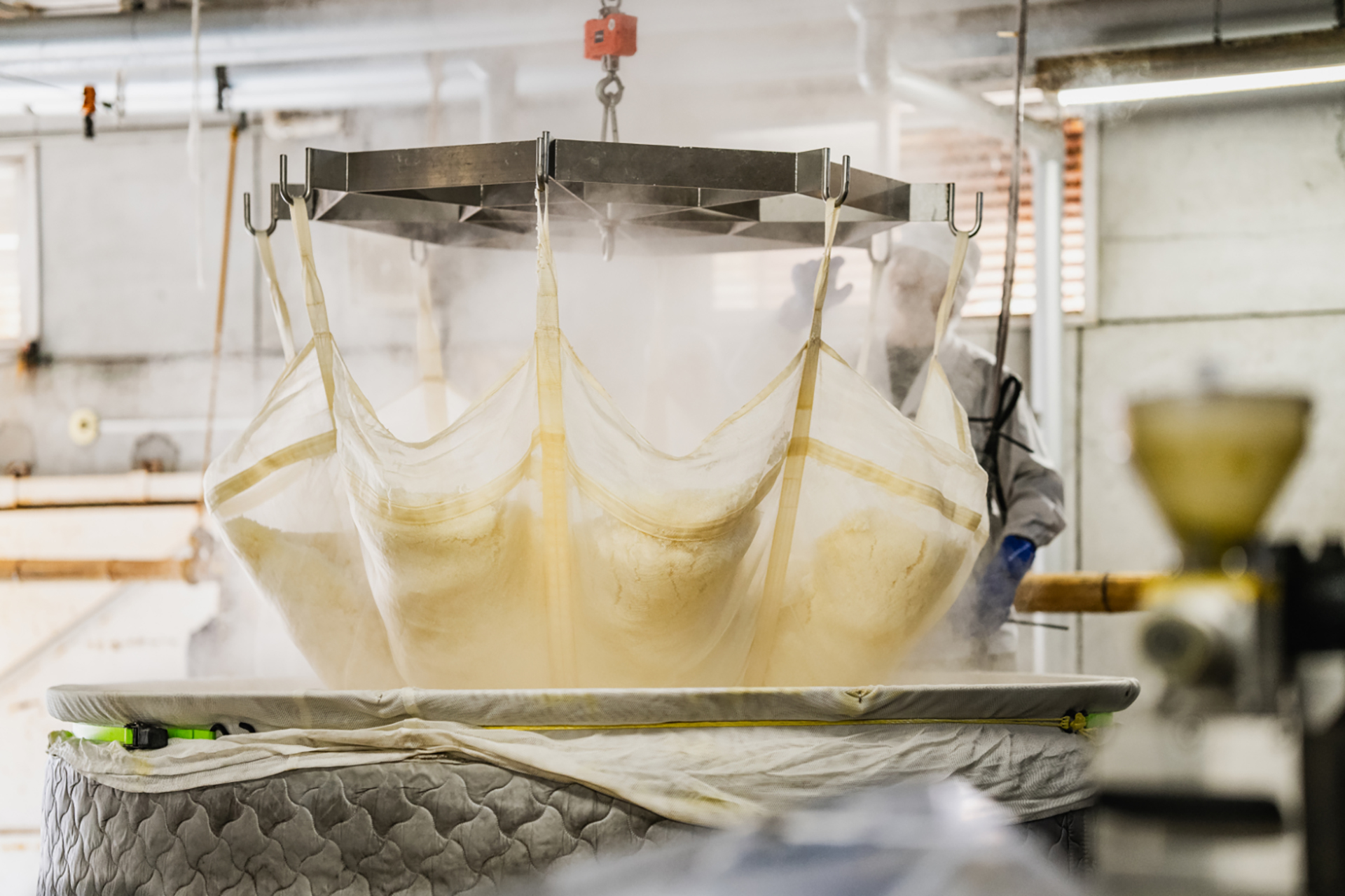 李白酒造の蒸米工程