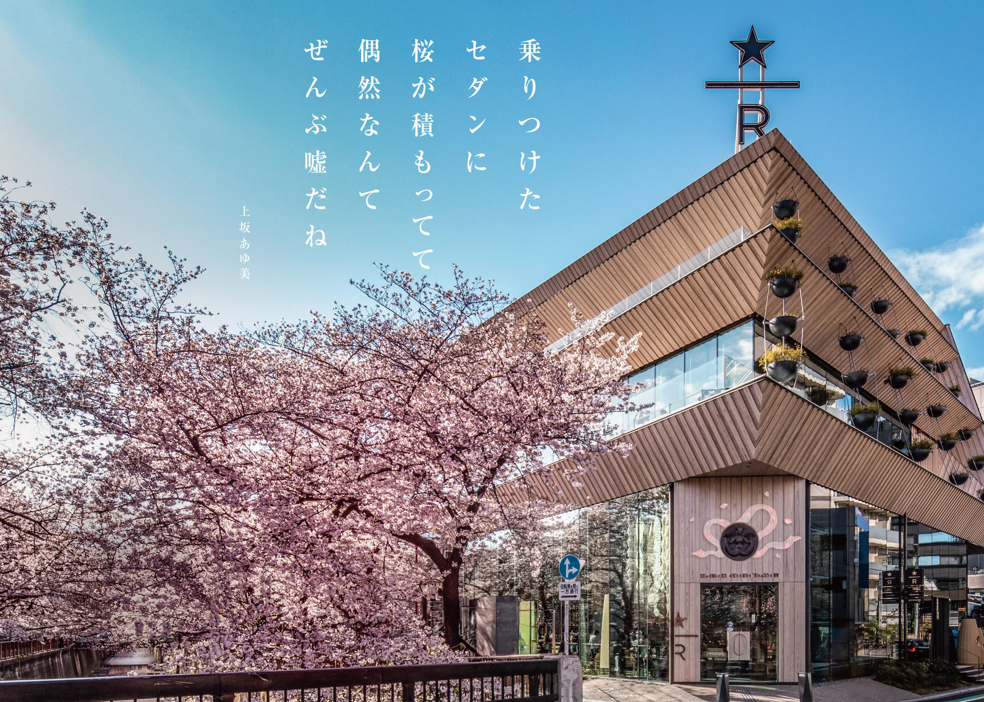 SAKURAシーズンを彩るインスタレーション