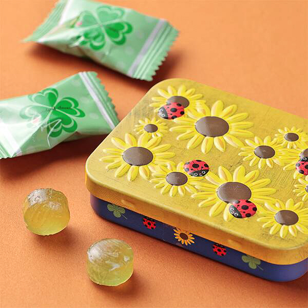 「レディバードスクエア缶」（イエロー）