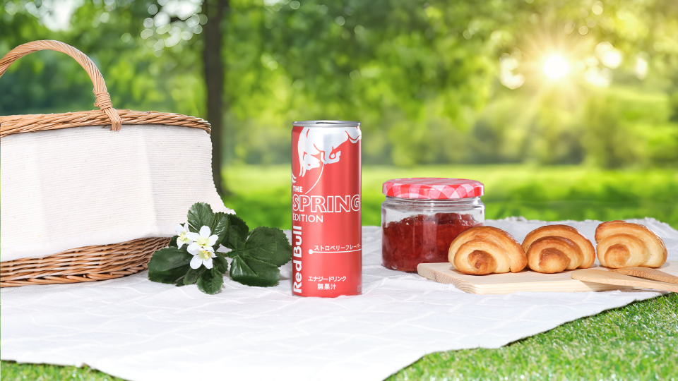 レッドブル　スプリングエディション　4本セット　red bull spring 春の訪れはもうすぐ！？「レッドブル スプリングエディション