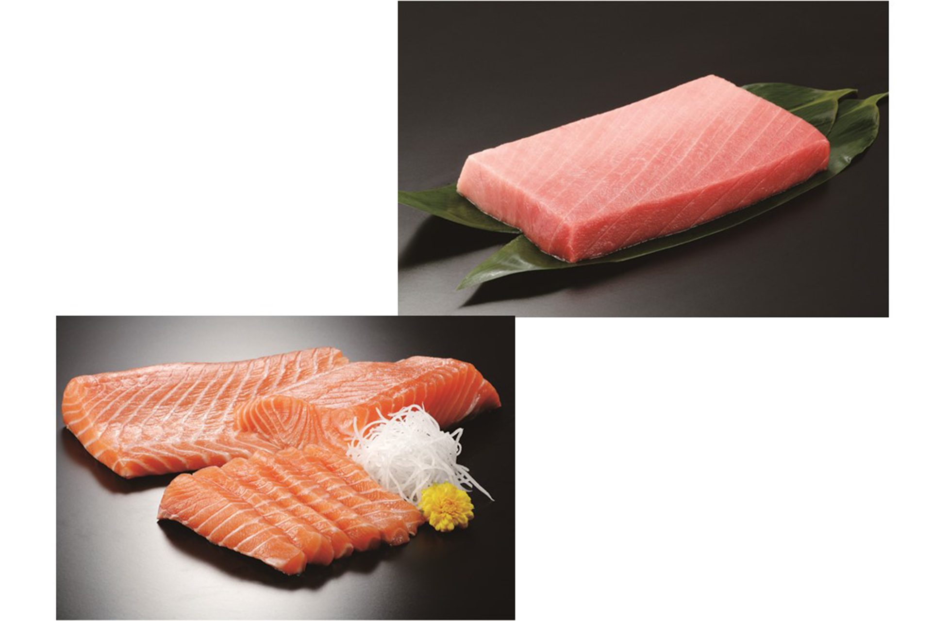 生アトランティックサーモン（左）、本まぐろ中とろ（右）