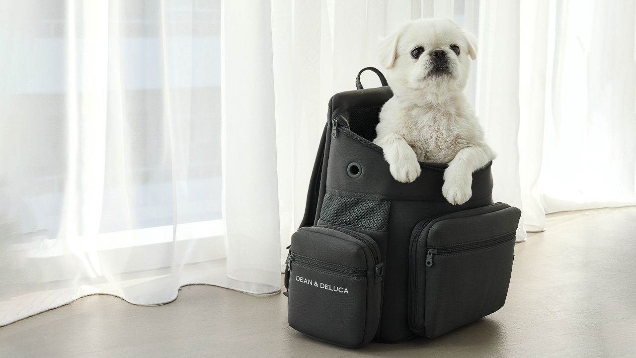 「バッグパックキャリー」はMサイズとLサイズを用意