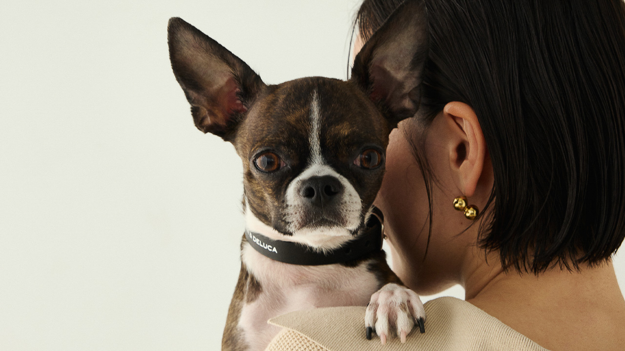 レザーカラーブラック