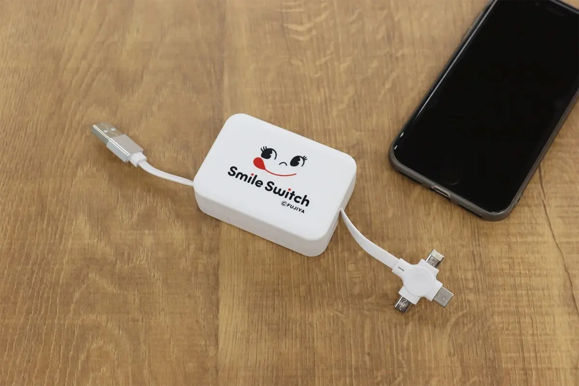 Lightning、USB Type-C、micro USBの端子がついている
