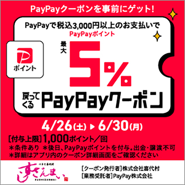 PayPayクーポン発行