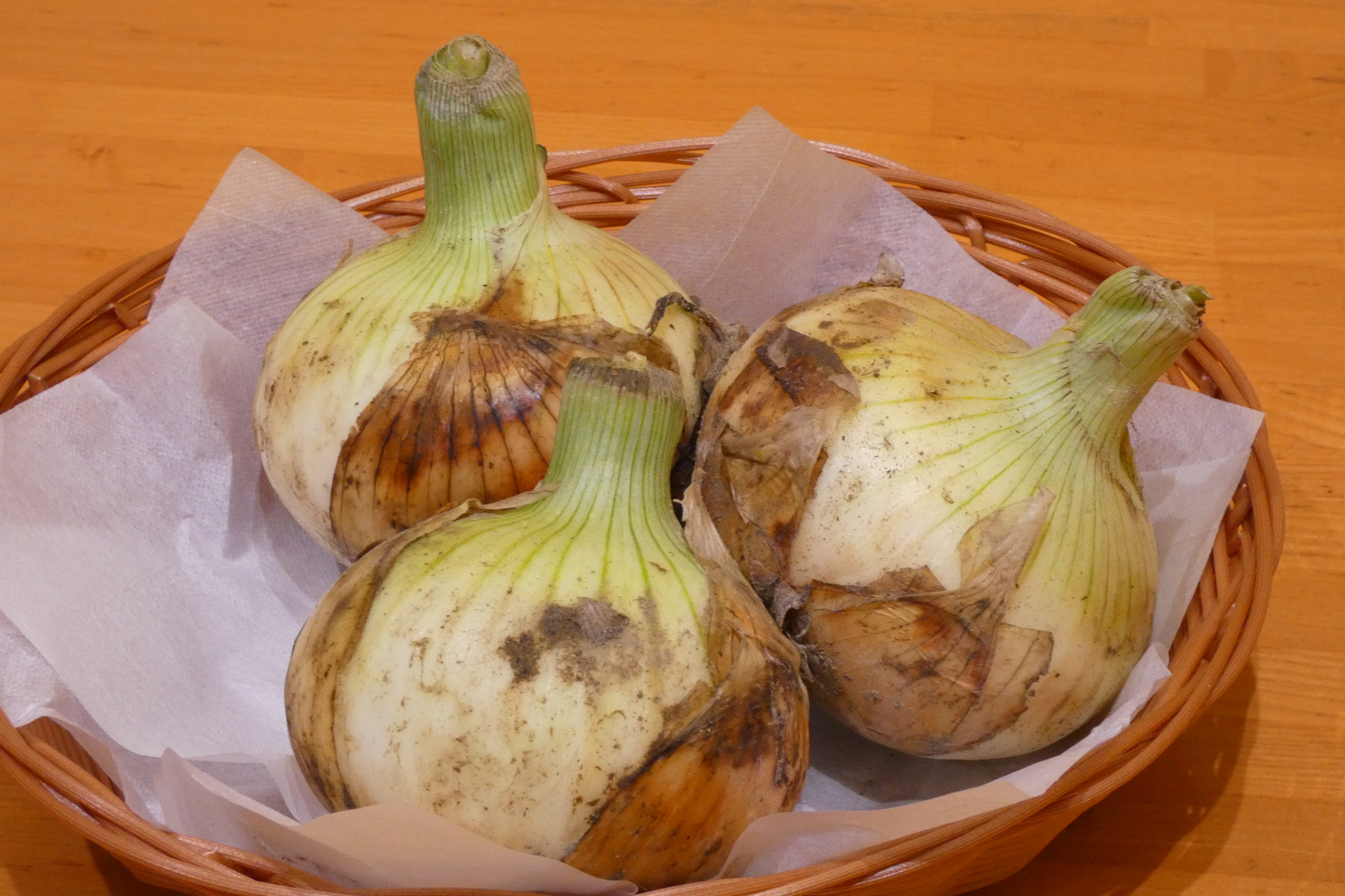 首が青い新鮮な新たまねぎが使用される