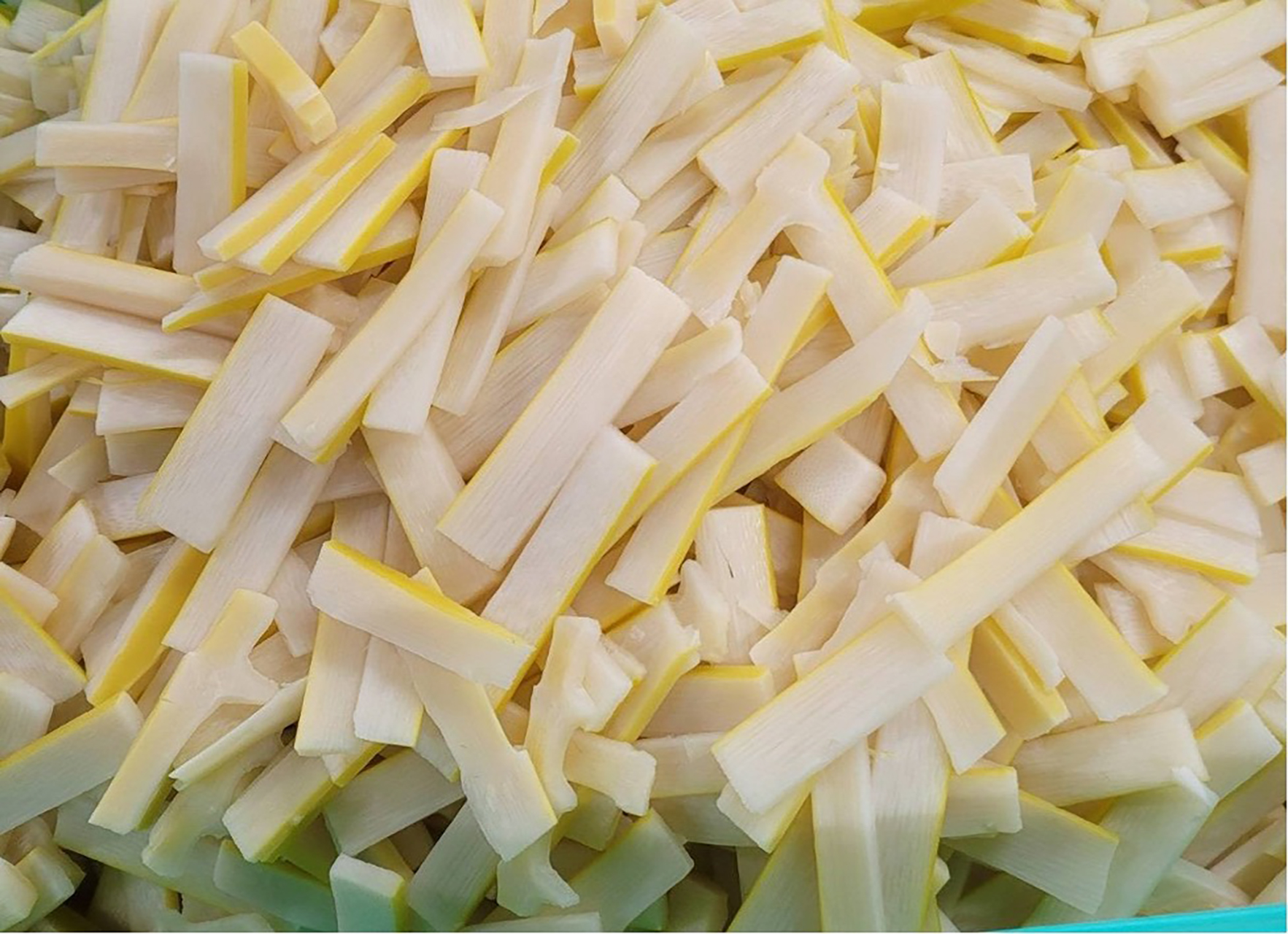 メンマサイズにカットして茹でる前の状態