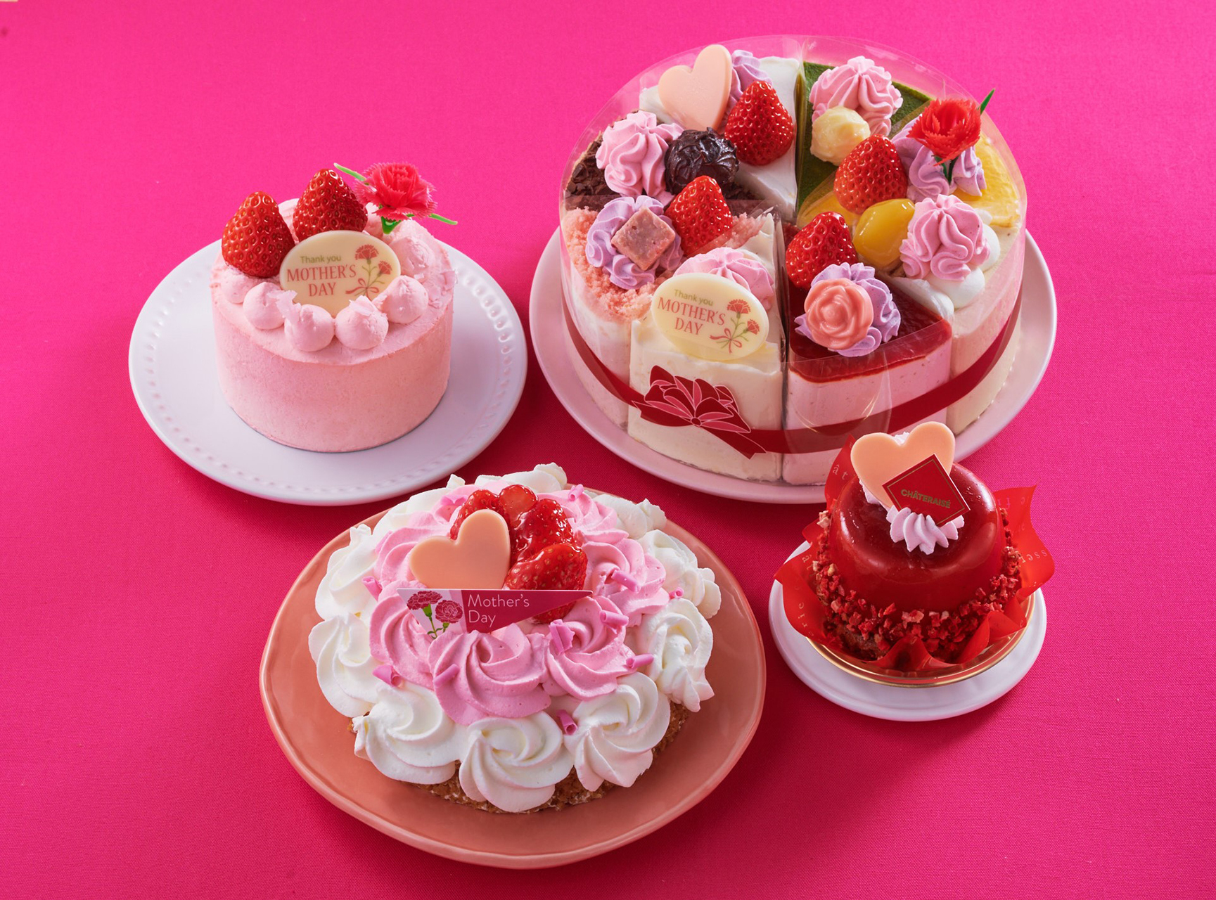 シャトレーゼ「母の日限定」