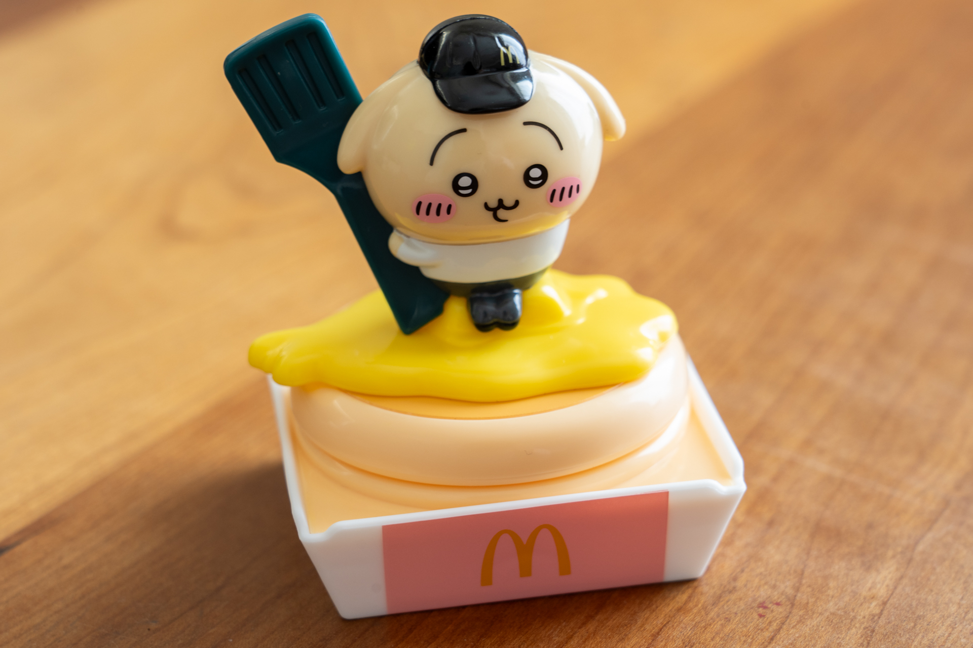 やっぱり乗せたくなるよね。可愛い♪