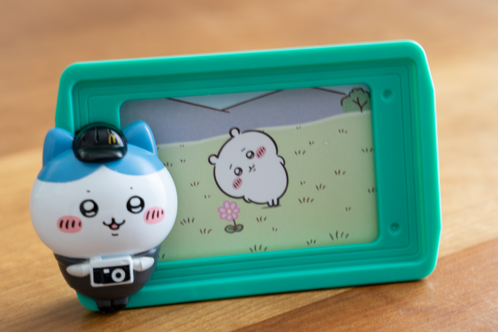 カードは裏面も。こんな1枚撮っていたよね