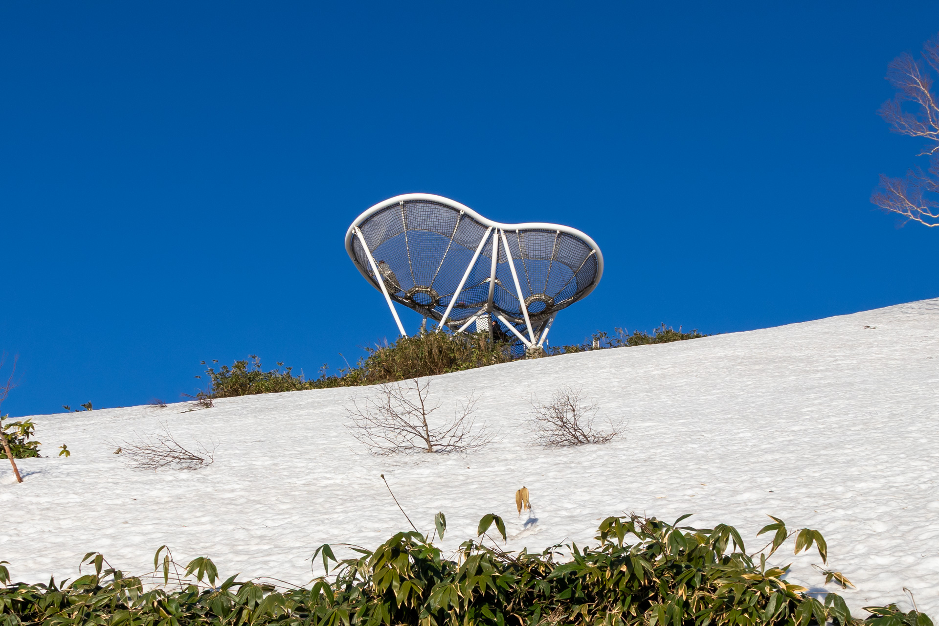 「Cloud Pool（クラウドプール）」