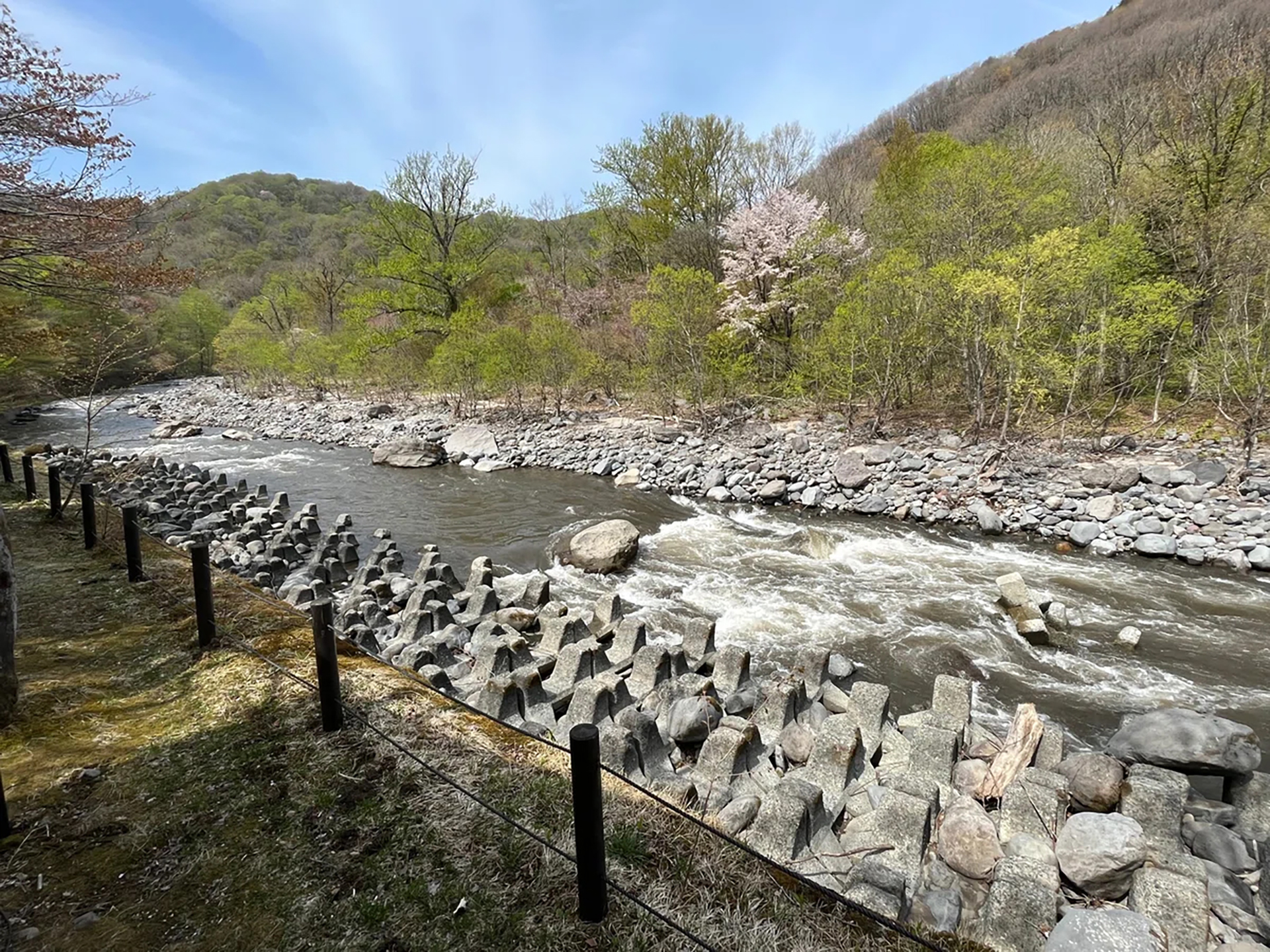 テラスから眺める新緑の景色