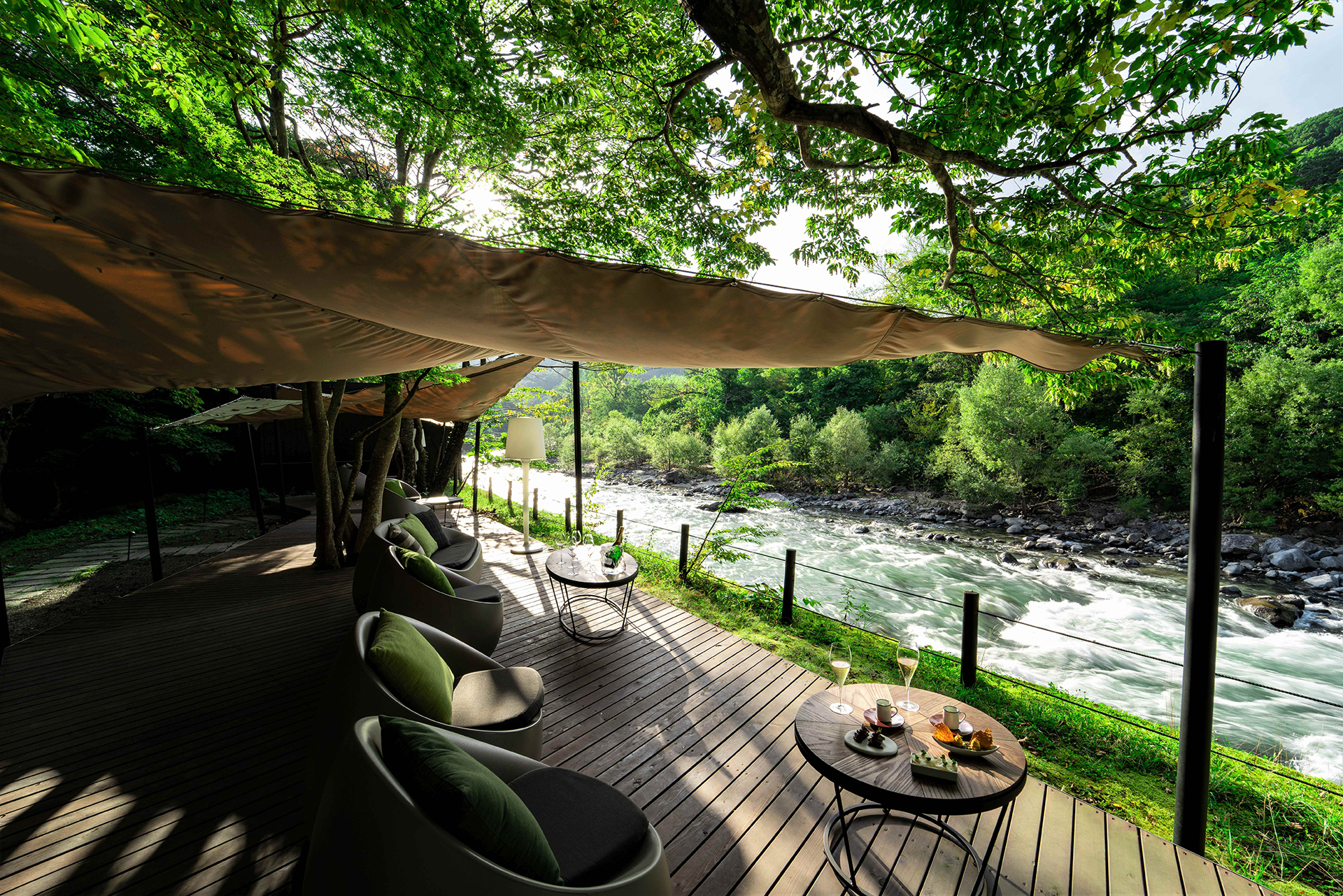 夏が近付くとより緑が深くなる