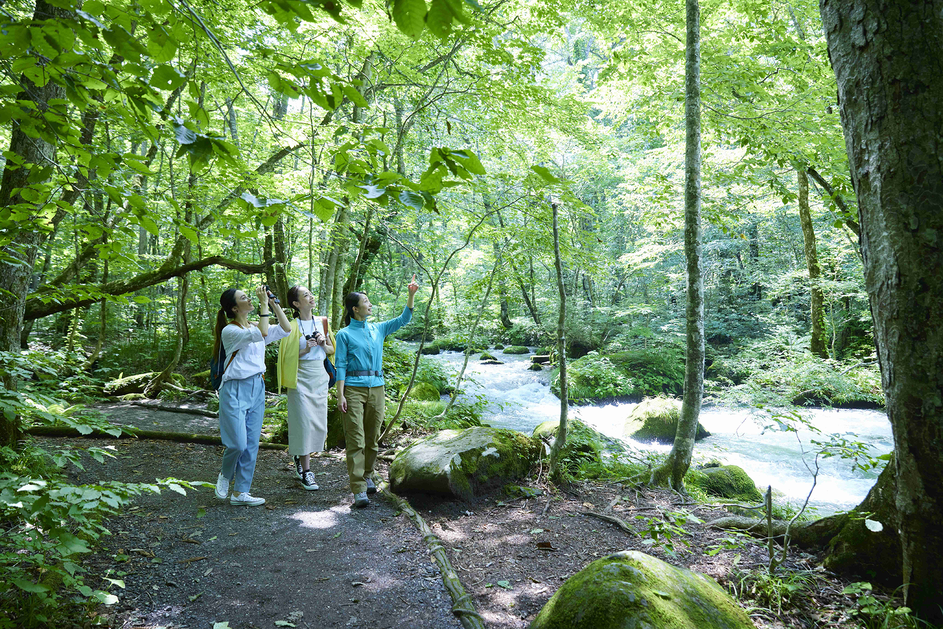 「渓流ガイドウォーク」で川沿いを楽しく散歩