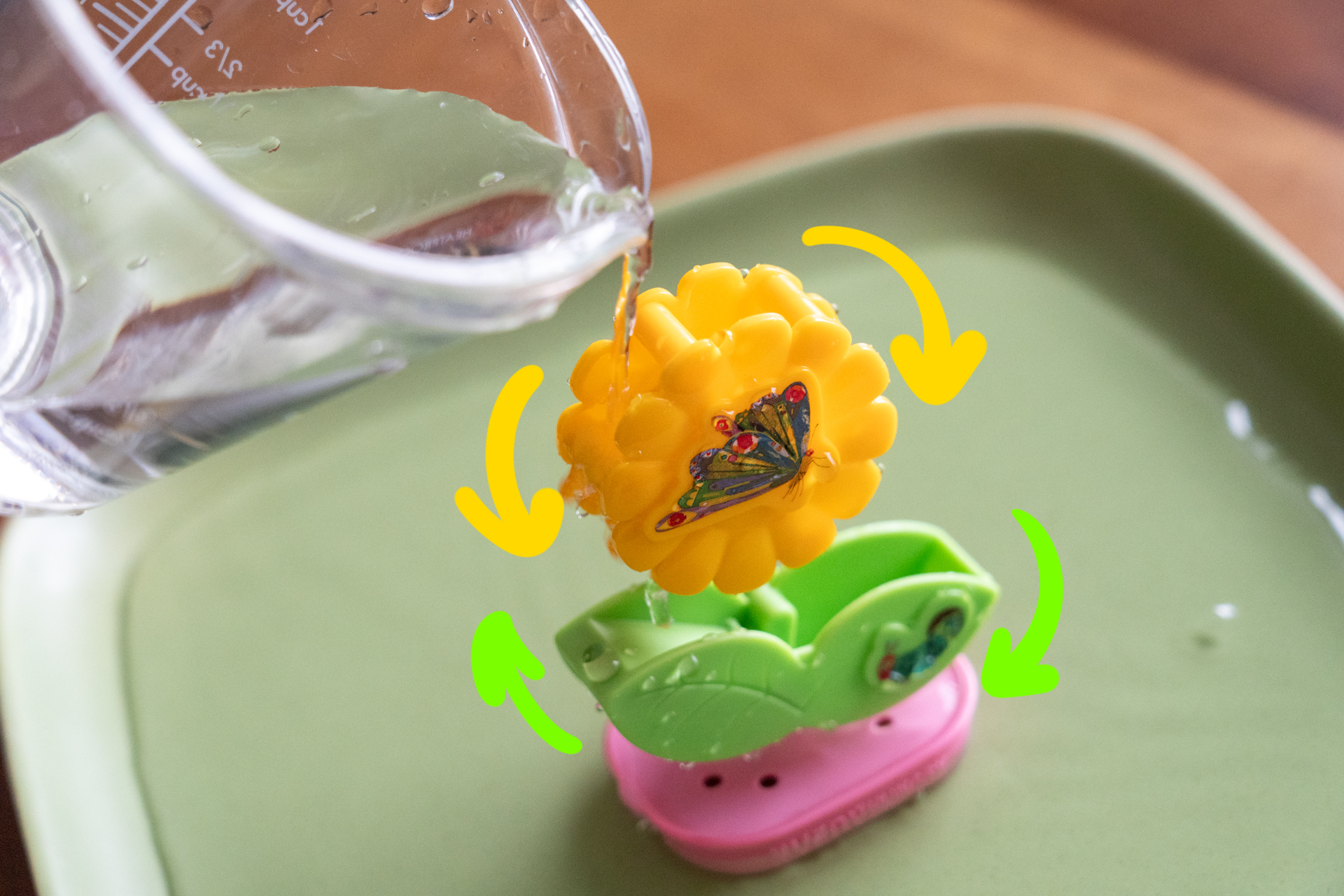 水をかけるところによって花の回り方が変わる