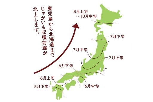 新じゃがの収穫は初夏に九州から始まり、徐々に「じゃがいも収穫前線」が北上していく