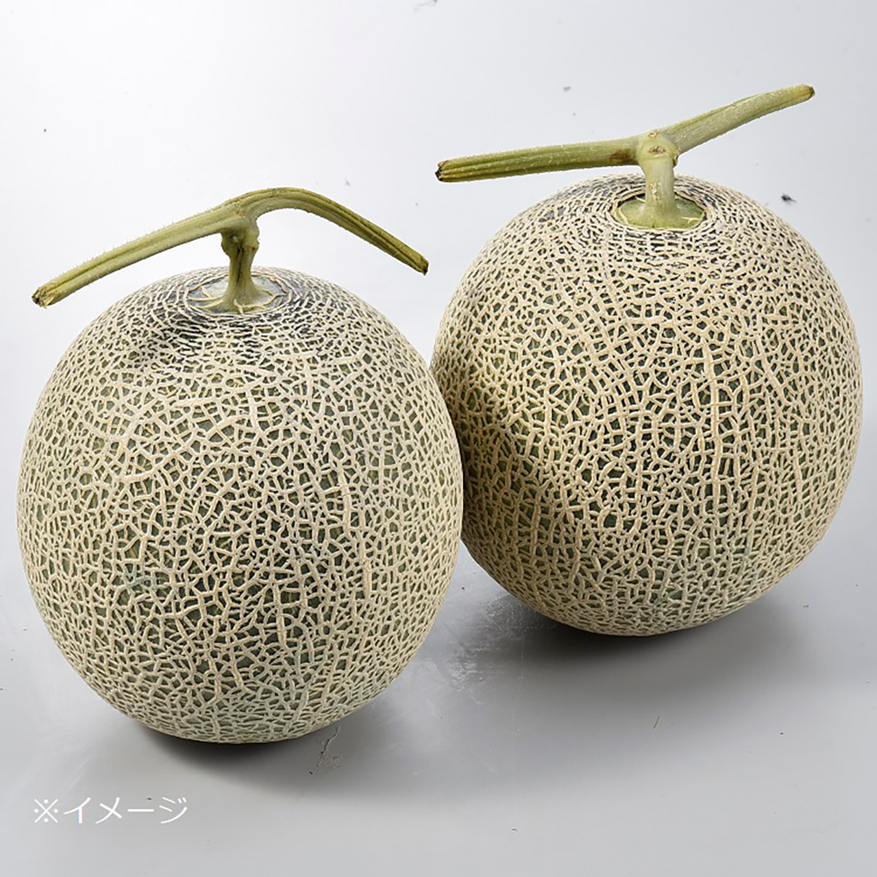 JAふらの 富良野メロン（5533円）