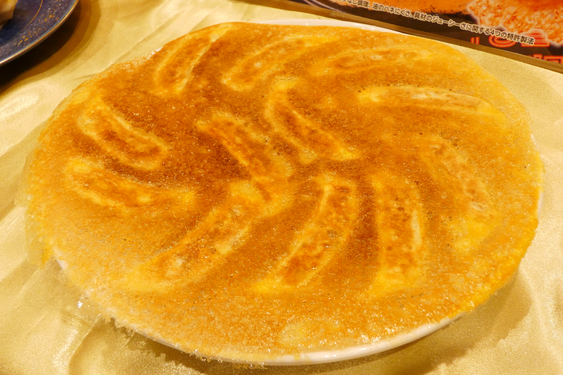 羽根つきヤンニョム餃子