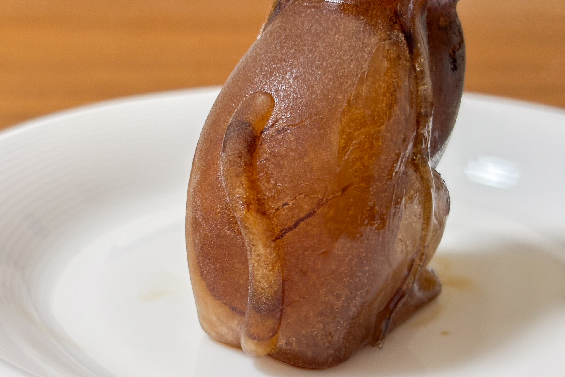 お座りした“ねこ氷”（コーヒーバージョン）が完成しました