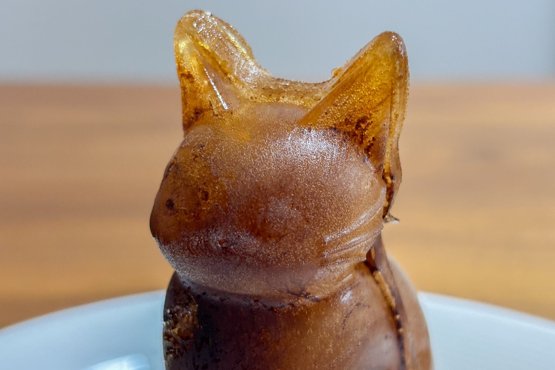 お座りした“ねこ氷”（コーヒーバージョン）が完成しました