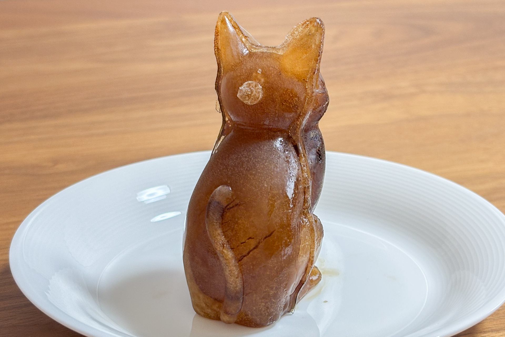 お座りした“ねこ氷”（コーヒーバージョン）が完成しました