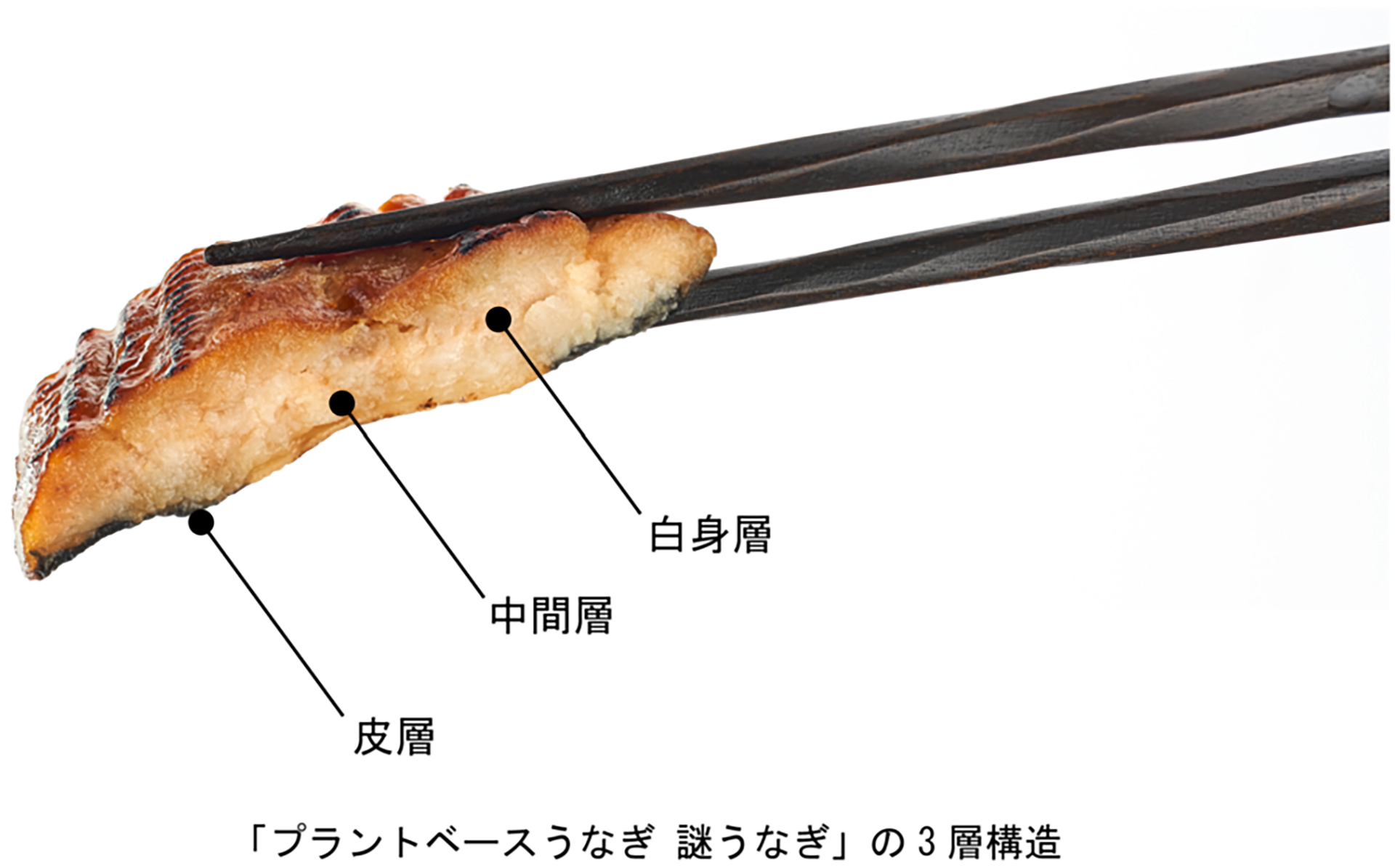 生地は「白身層」「中間層」「皮層」の3層