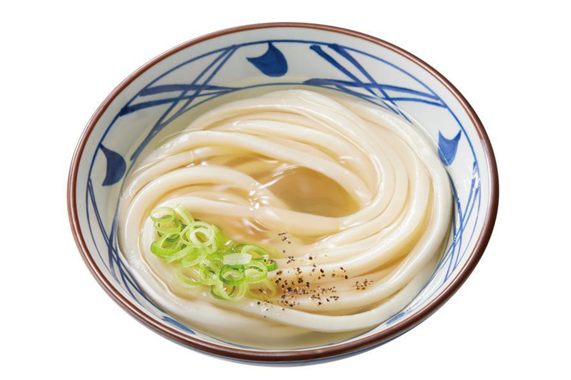 冷たーい旨塩うどん