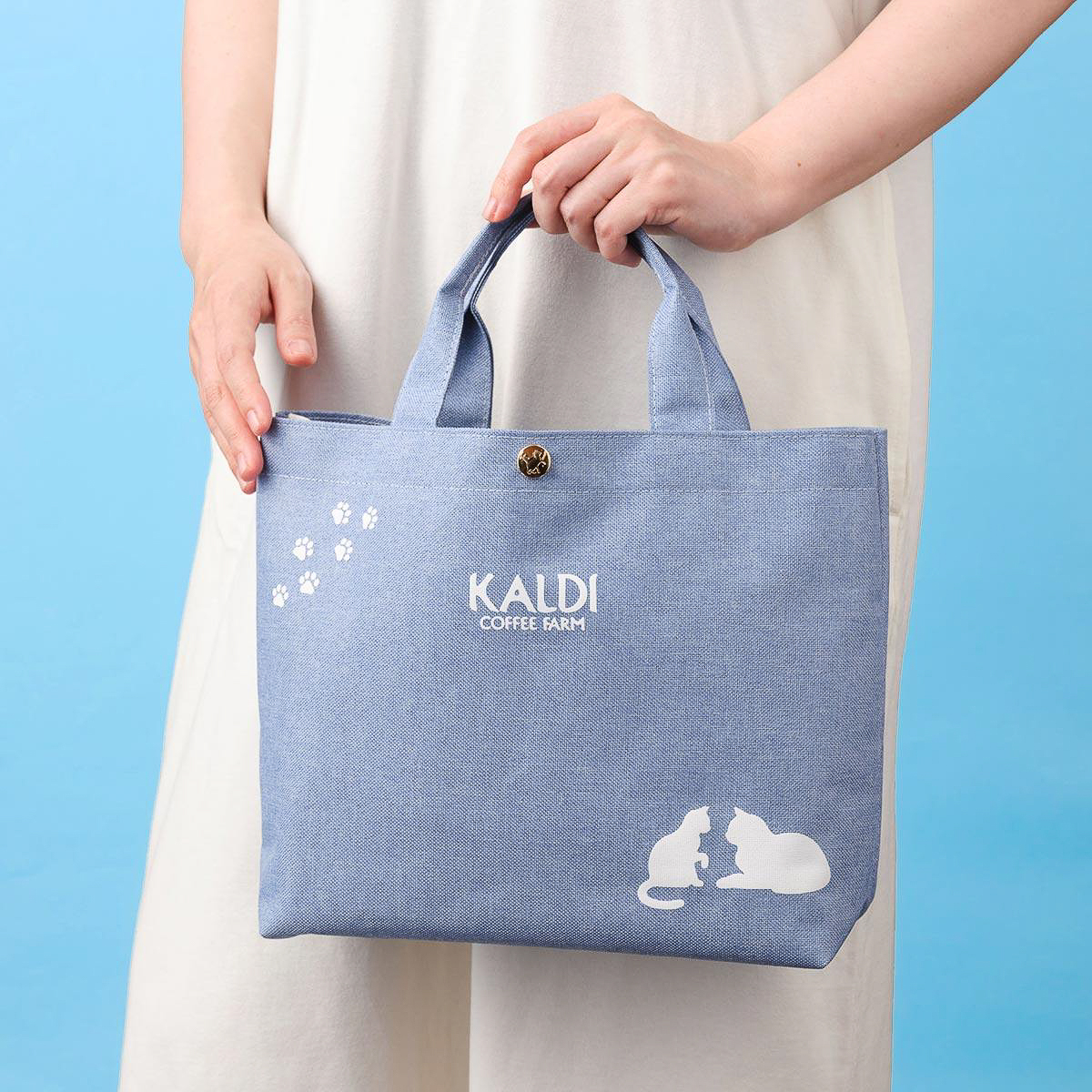 「ネコバッグ＆もちもちネコクッションプレミアムセット」（オンラインストア版）の内容