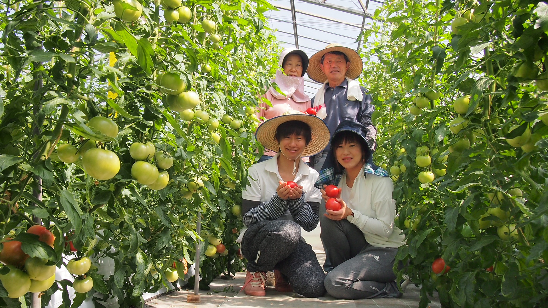 株式会社ヨダファーム（写真提供：株式会社ヨダファーム）