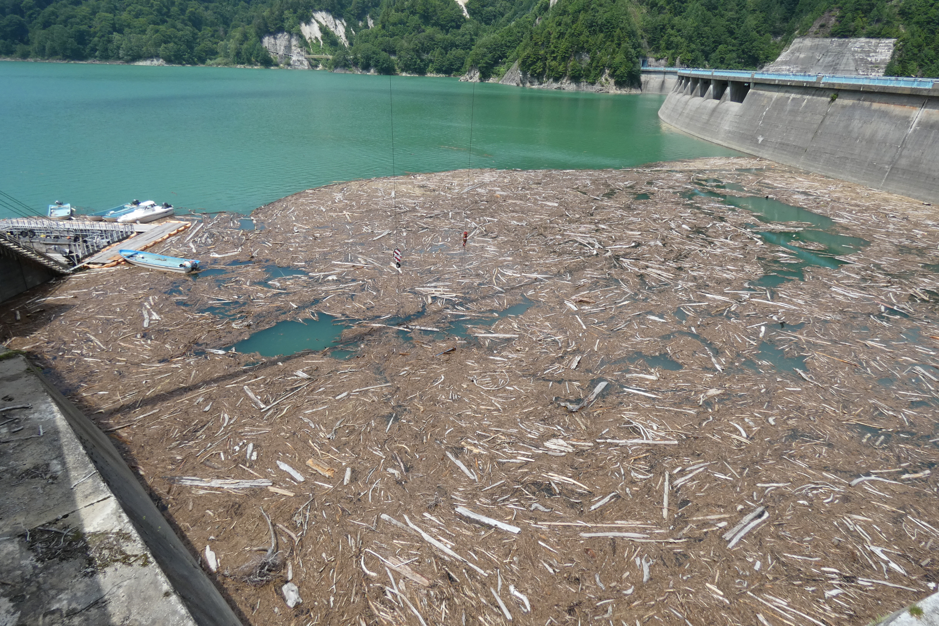 発電所用の取水口を塞がないように流木を取り除く必要がある