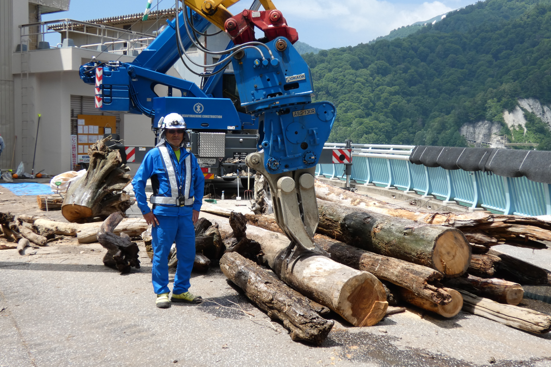 大きな流木はトラックに積んで運べるサイズに切断する