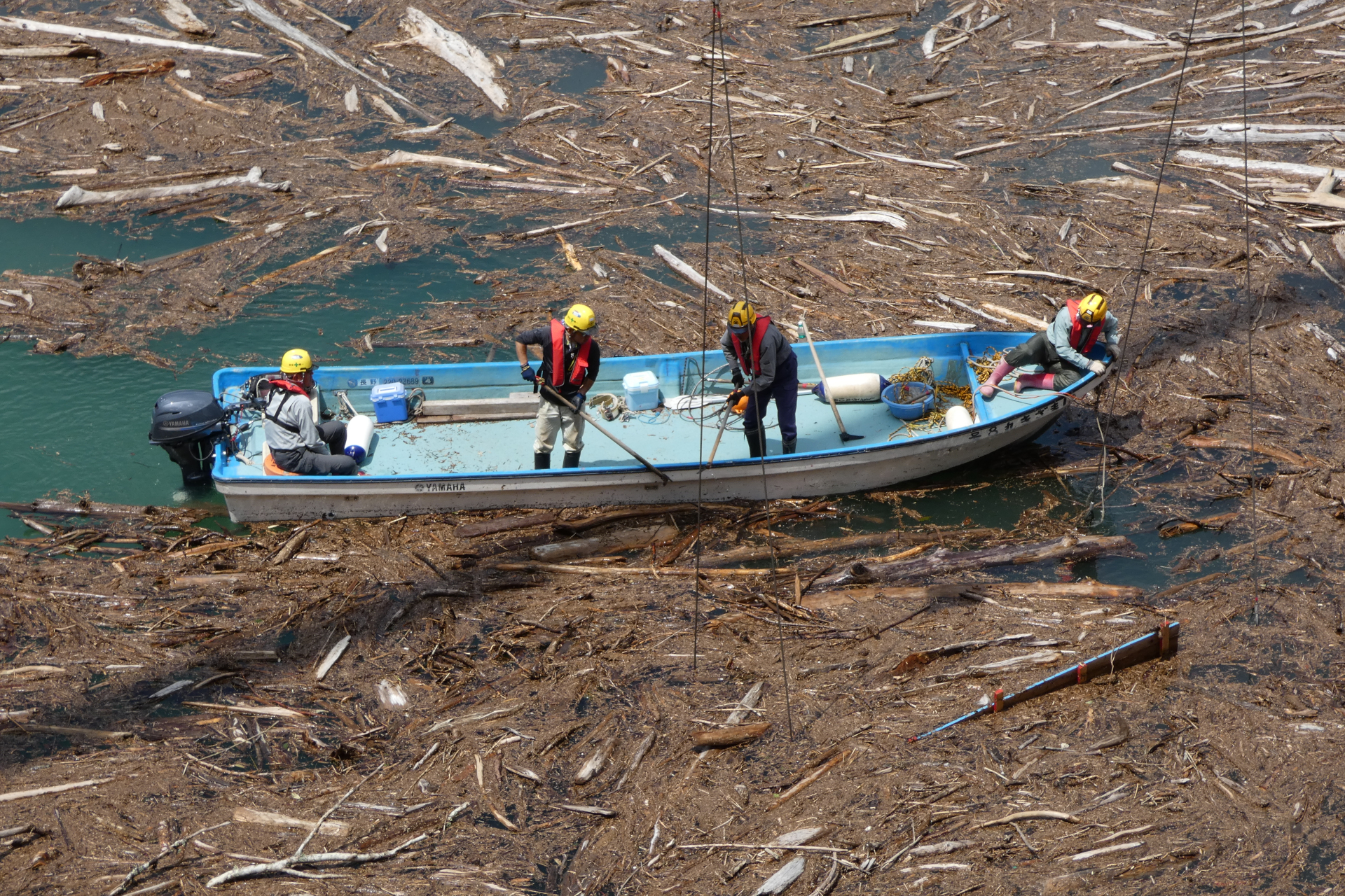 ボートで引き上げ用の籠に流木を集める
