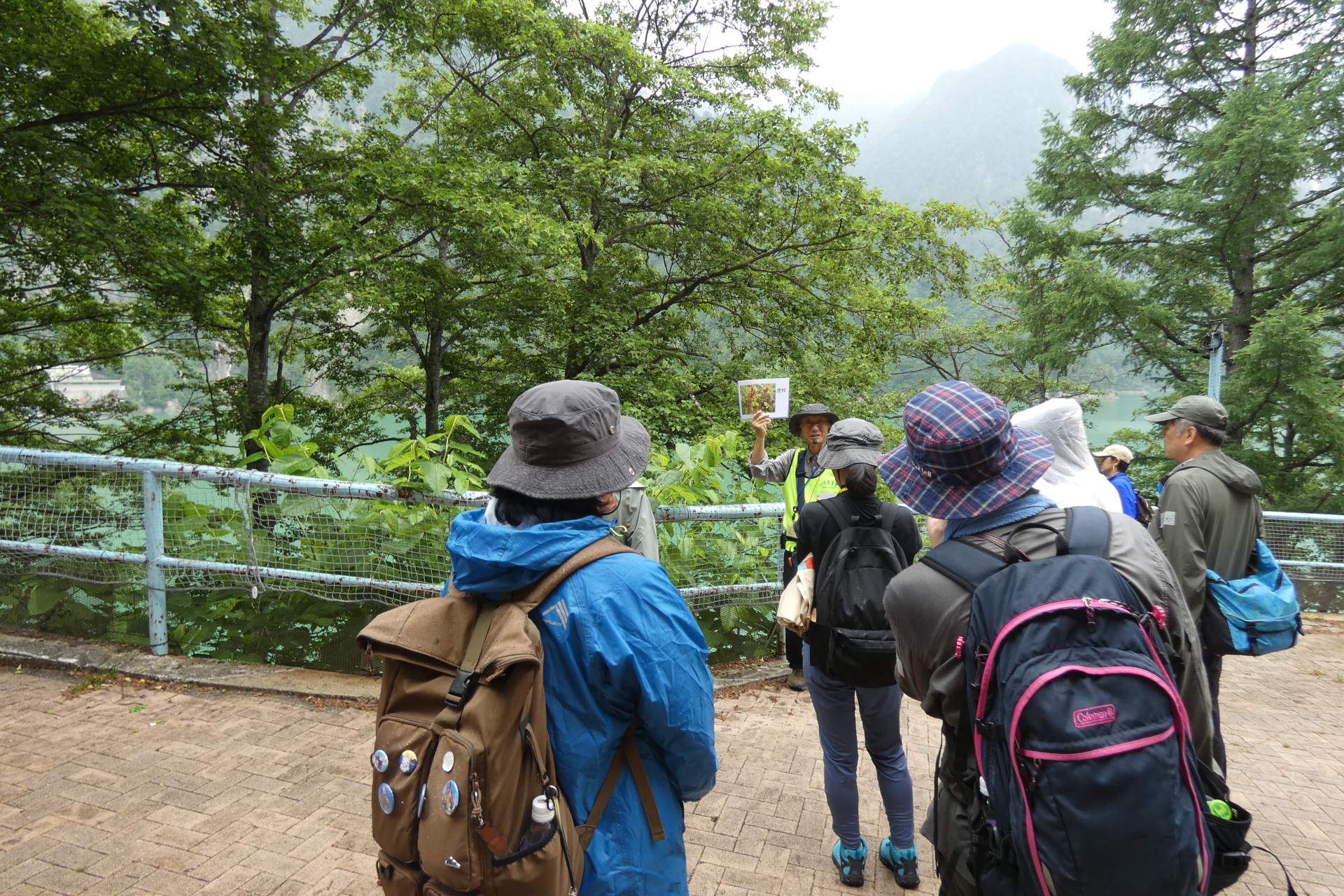 ネイチャーガイドの案内で黒部ダム周辺のトレッキング