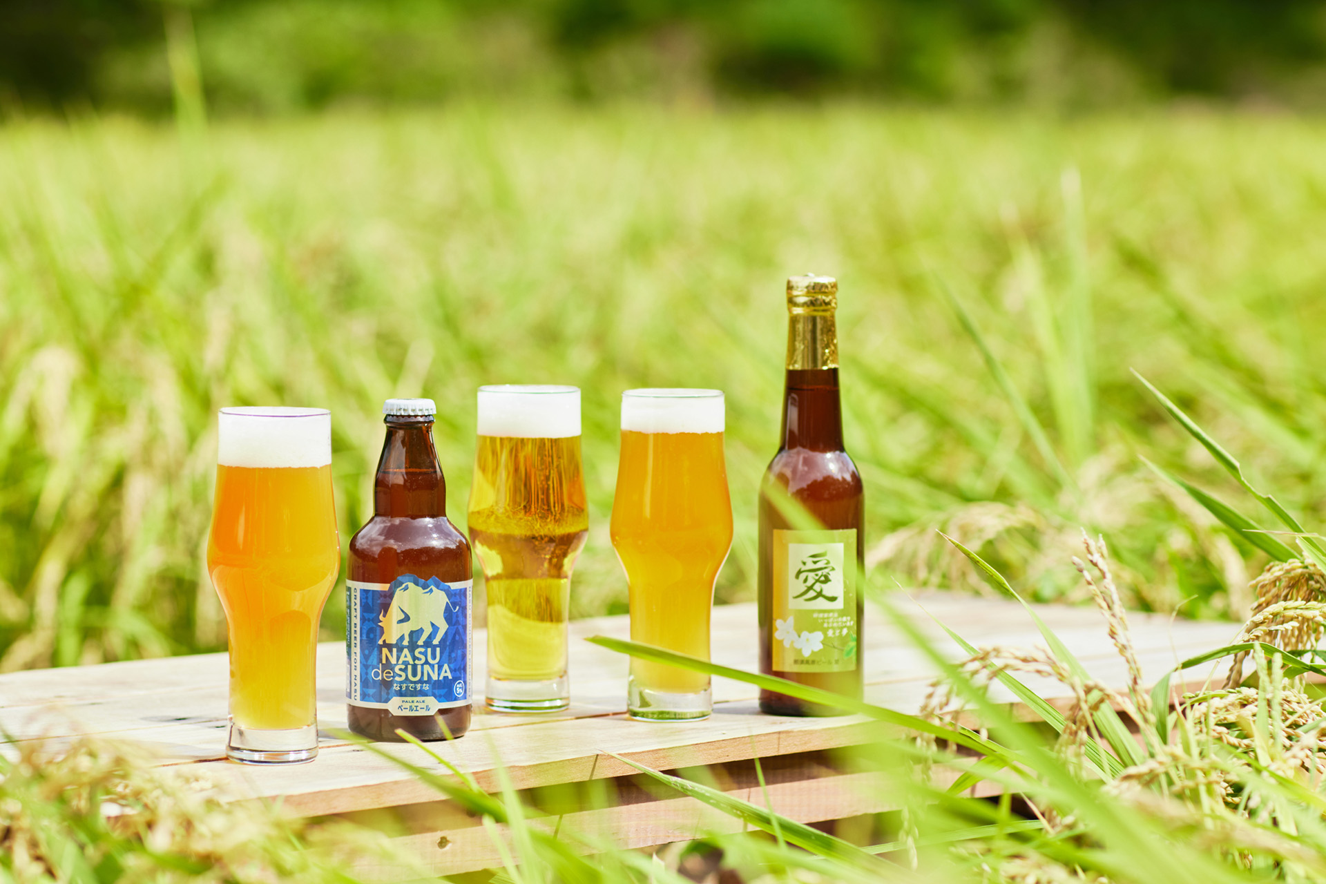 5種類のクラフトビール