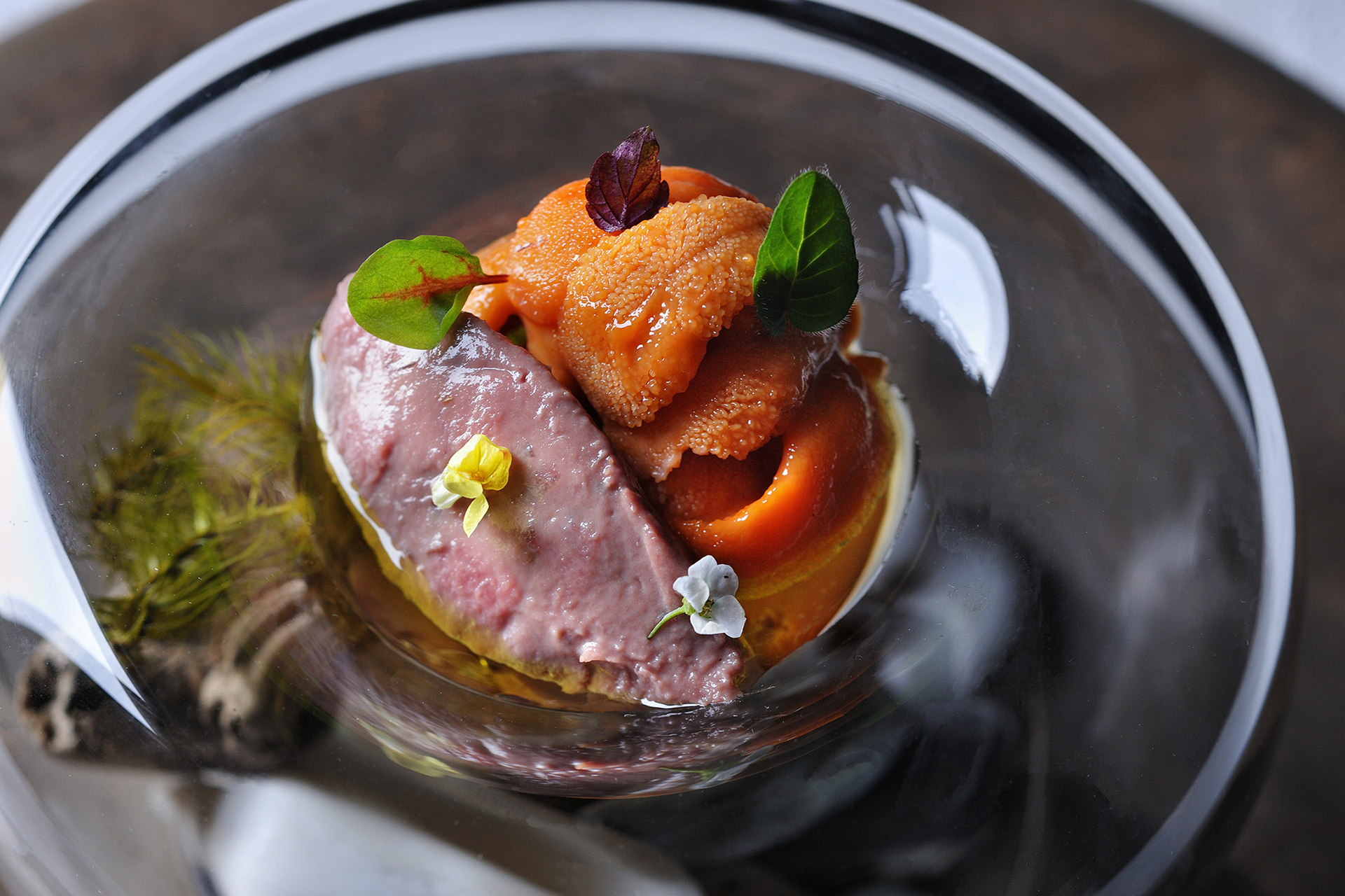 星野リゾート トマム「OTTO SETTE TOMAMU」夏限定ディナーコース