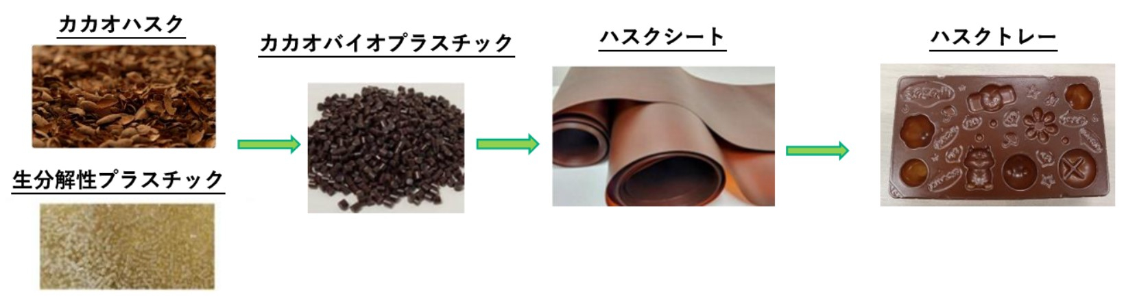 カカオハスクがトレーになるまで