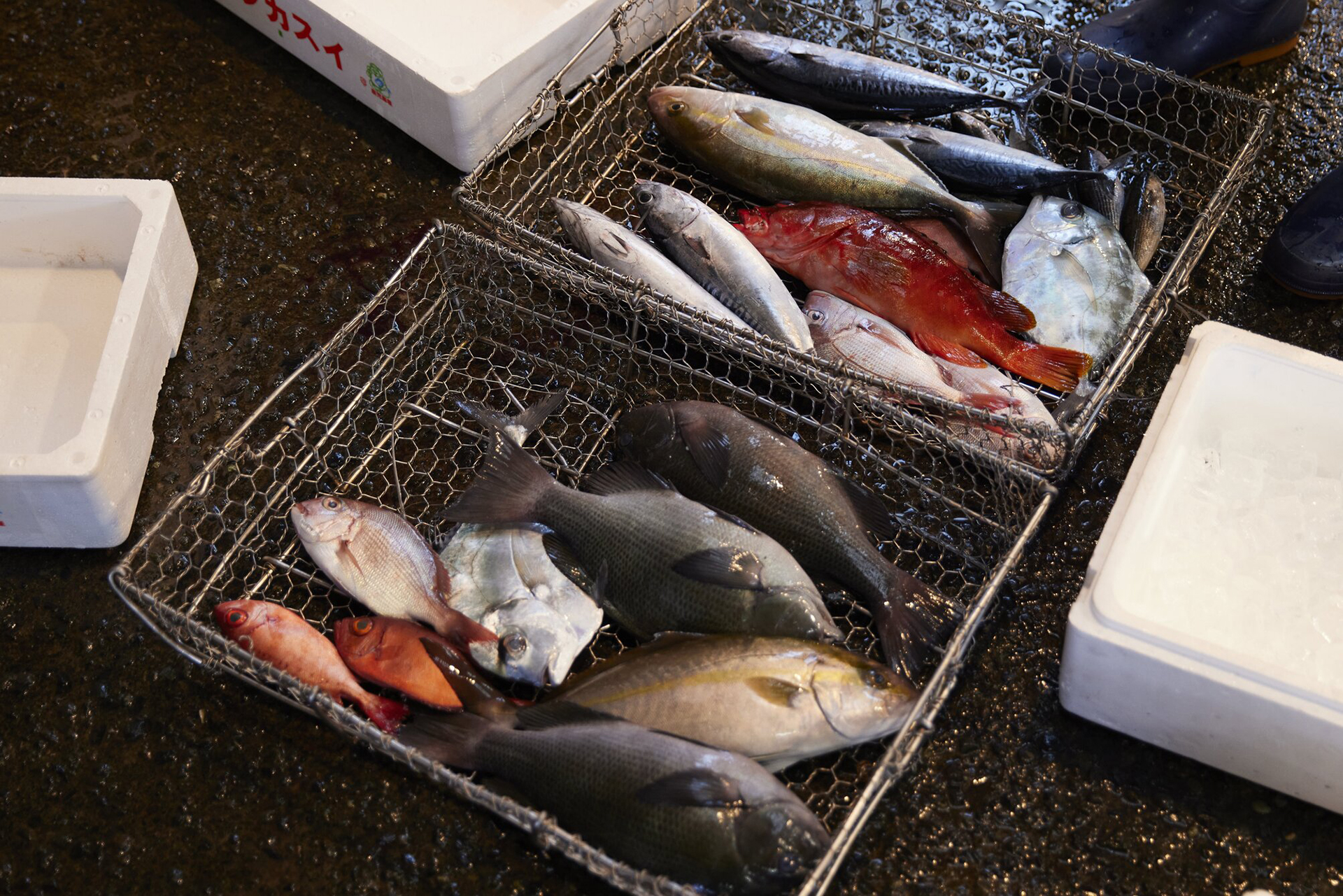 荷揚げ作業のイメージ