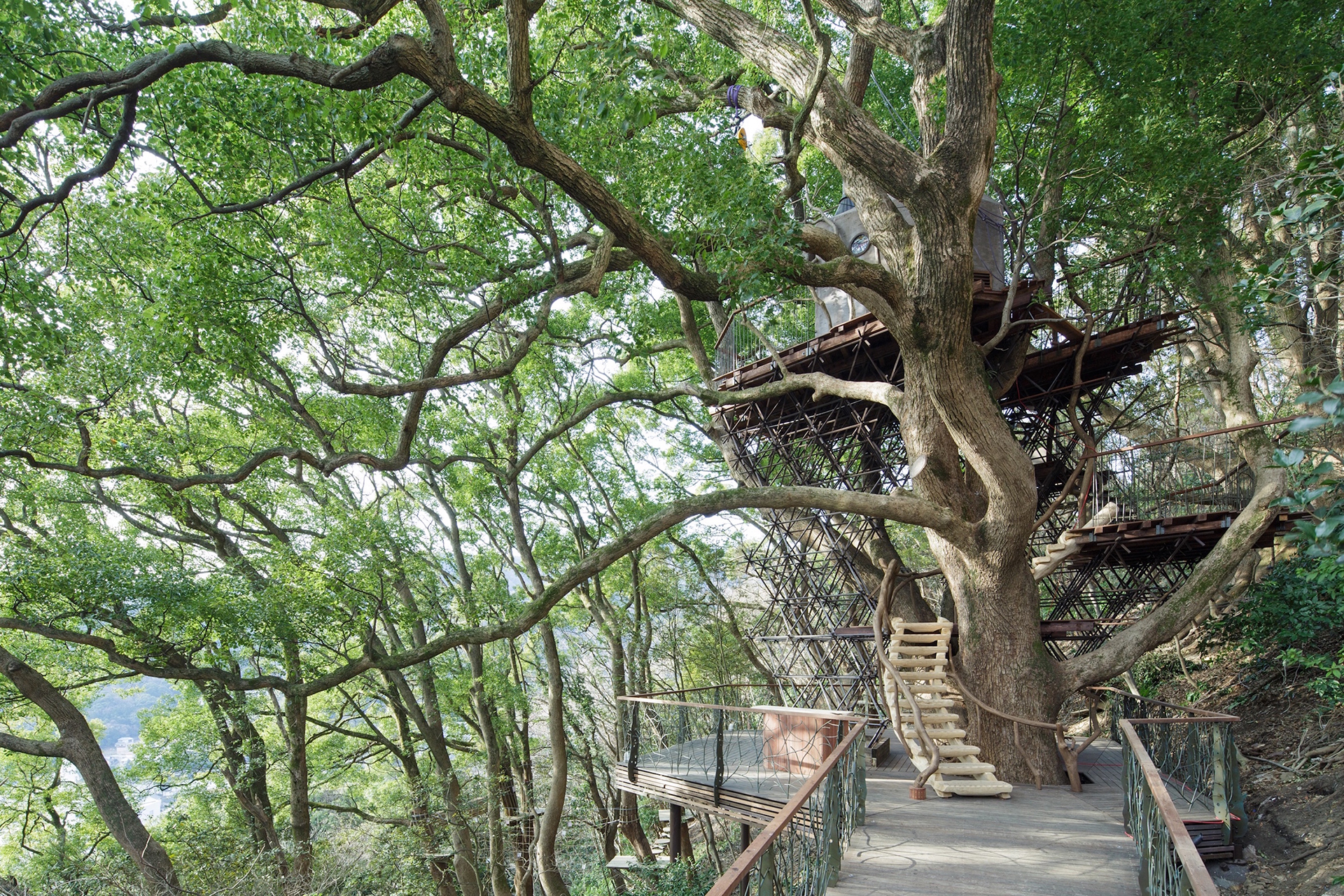 森の空中基地 くすくす（ツリーハウス）