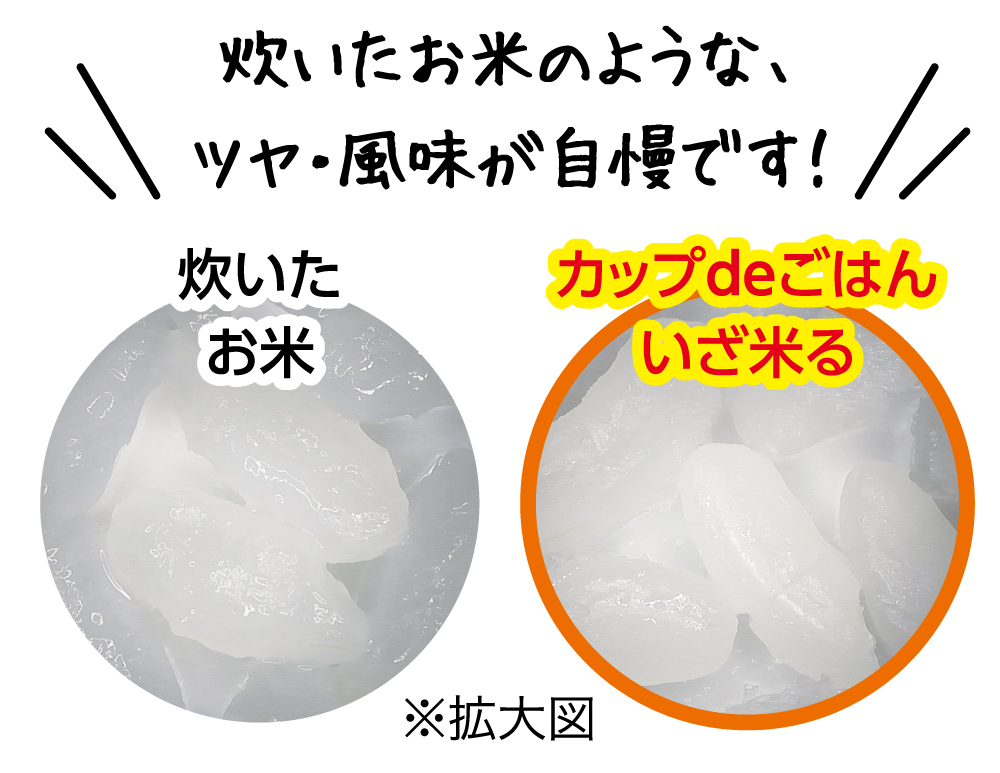 お湯を注いで5分でふっくら食感のごはんが楽しめる新ブランド