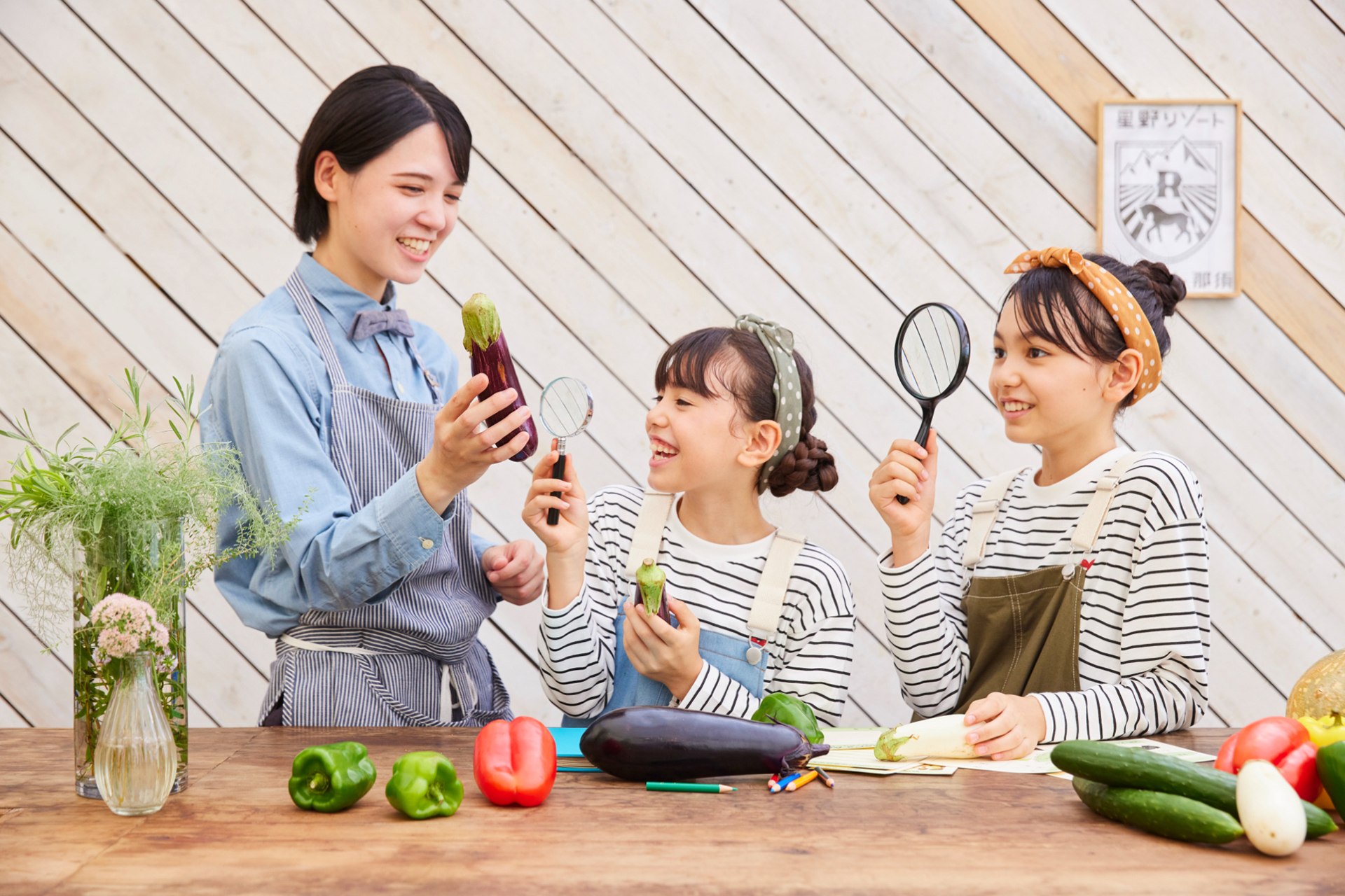 事前に野菜についての知識を学ぶ