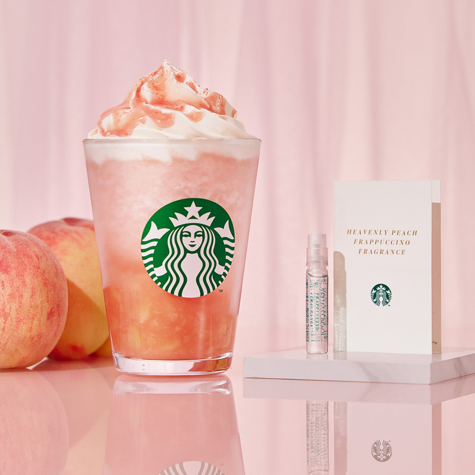 スタバ　2025 cavatina_starbucks-444