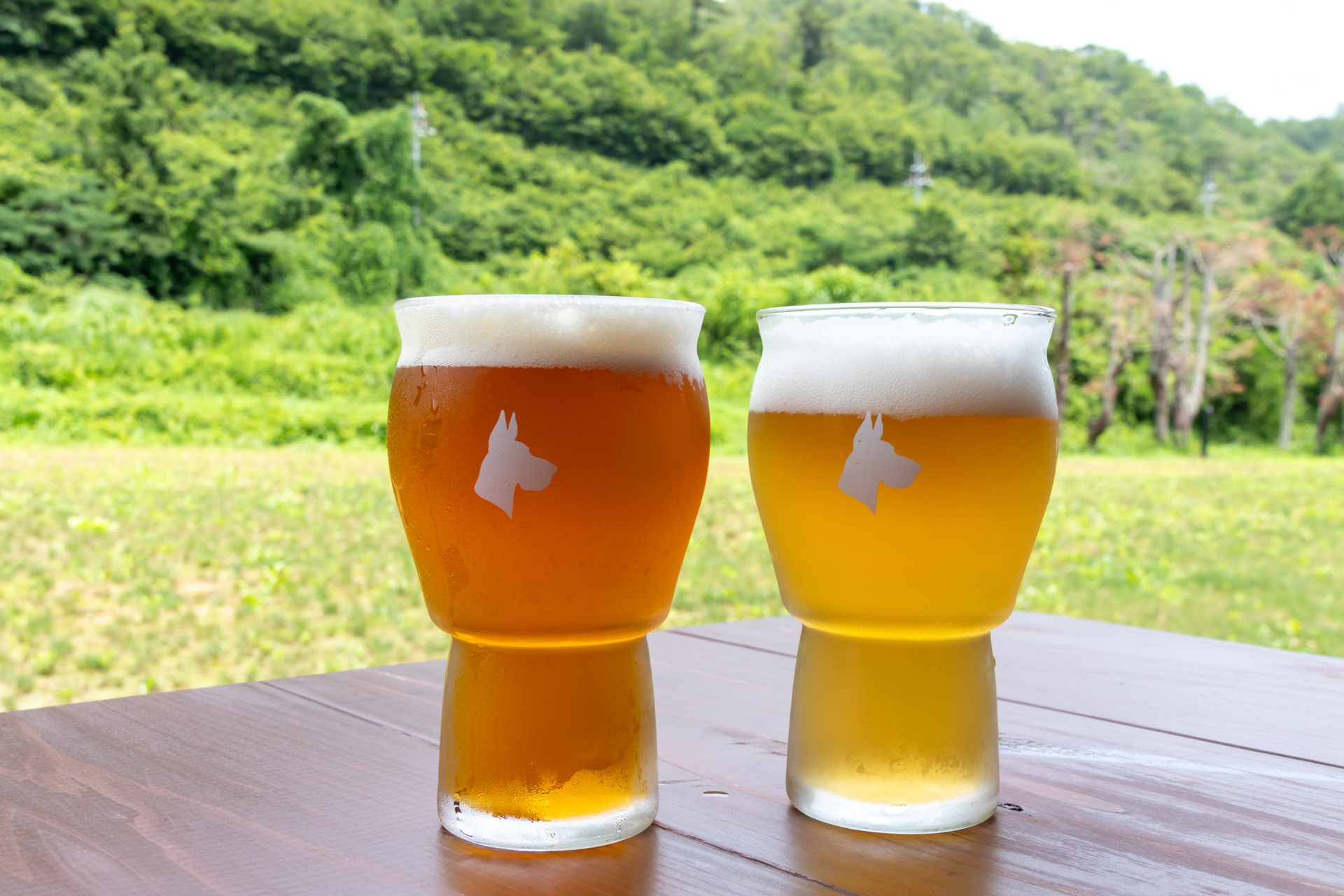 フレッシュなビールの美味しさは格別