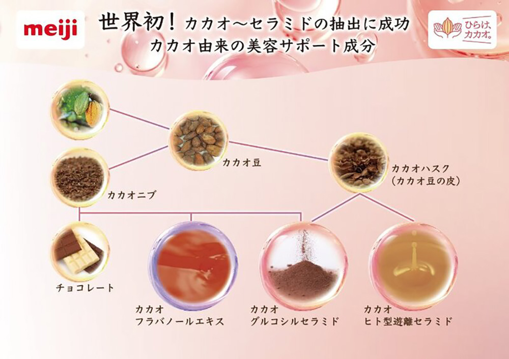 カカオ由来の美容サポート成分入り