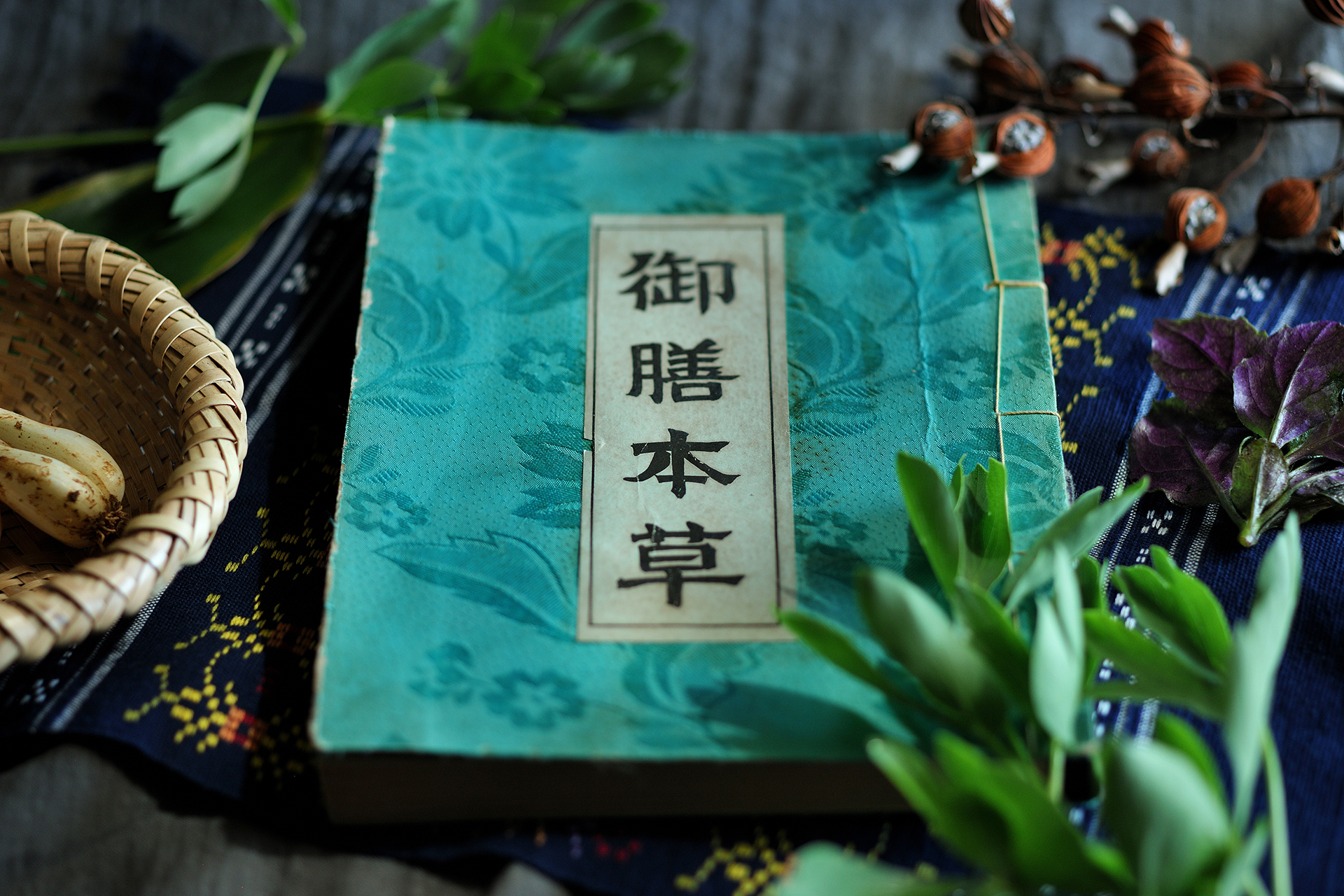 沖縄唯一の本草書「御膳本草」