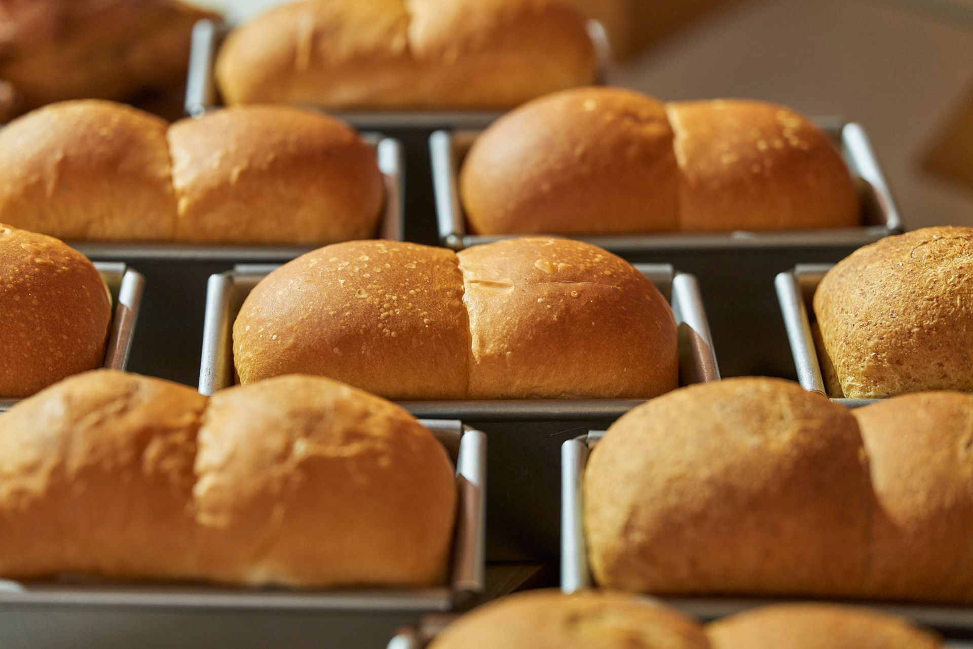 できたての「角食パン」