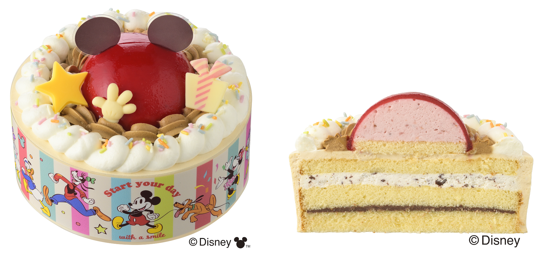 「＜ディズニー＞ハッピーセレブレーション（4.5号）」断面