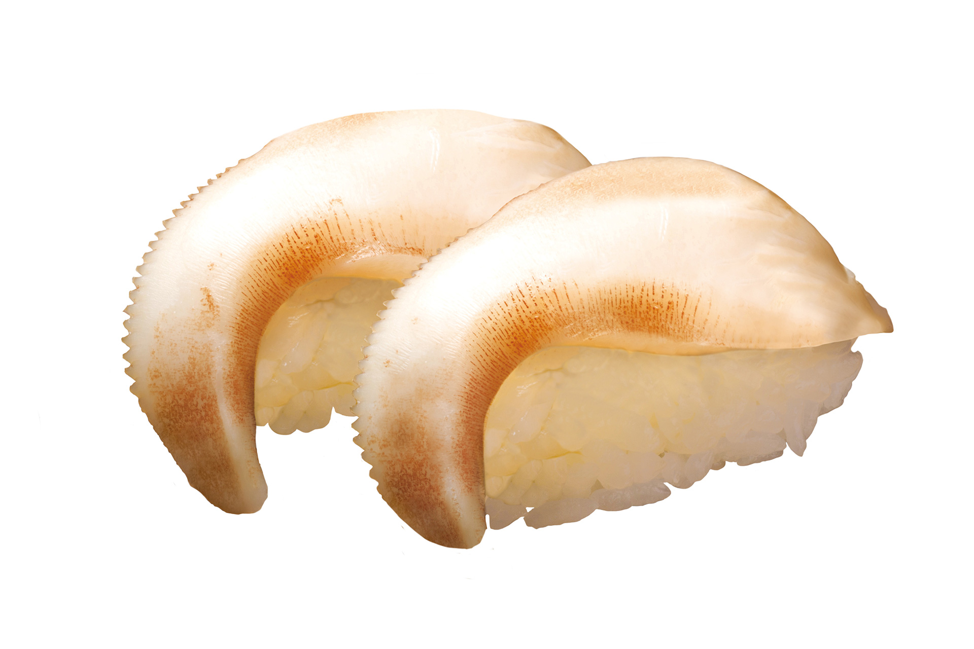 「白とり貝」（176円）