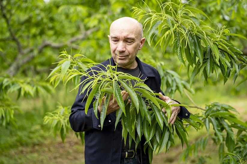 京丹波町で生産者とともに食材を確かめるローラン・プルセル氏