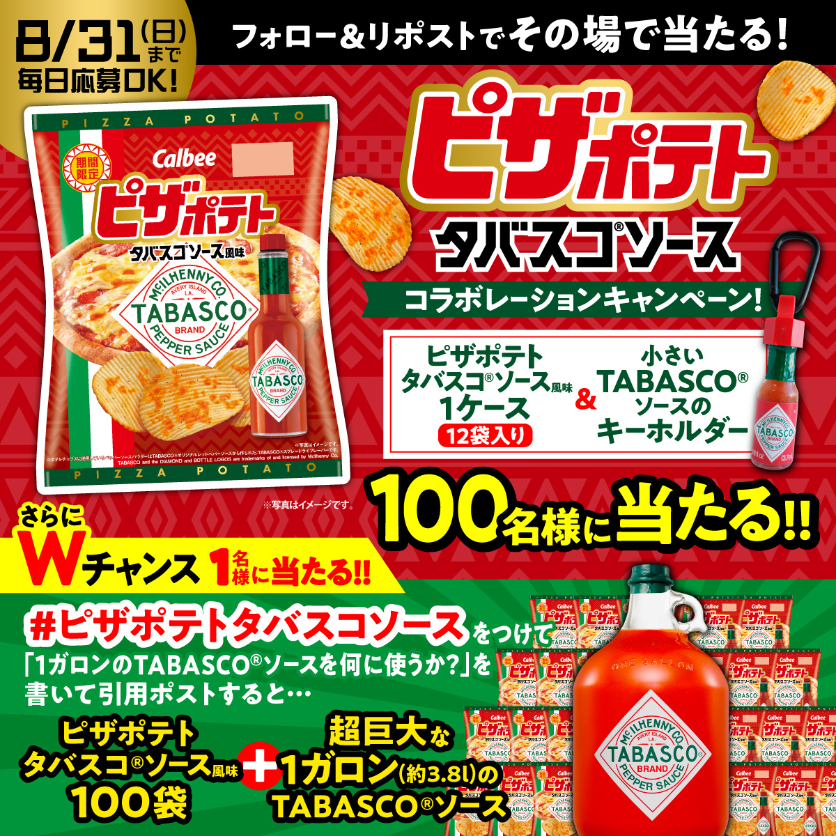 キャンペーン概要