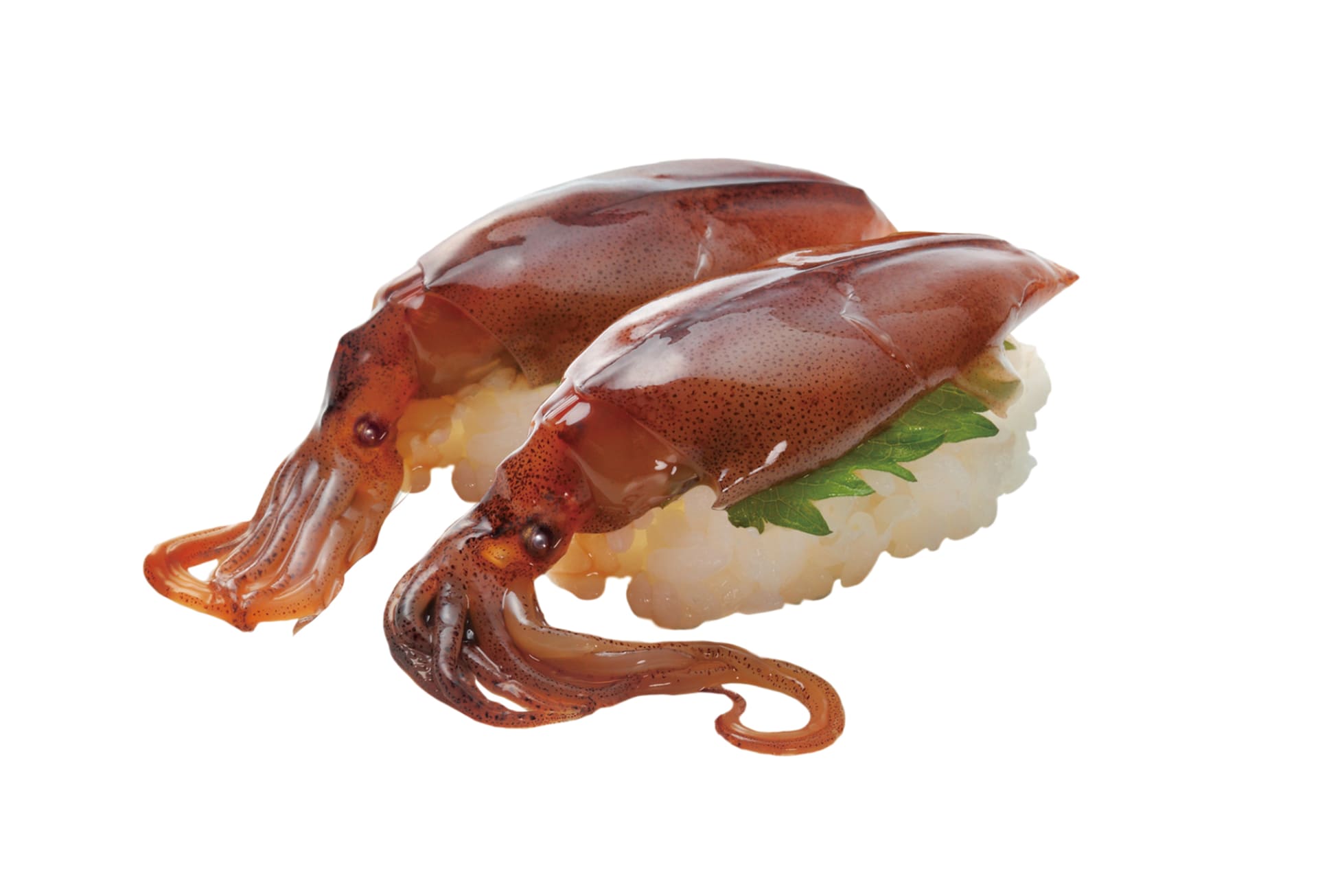 「福井県水揚げ 漬けほたるいか」（110円）